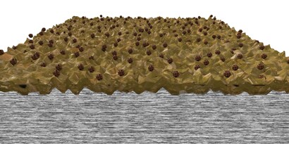 Example of a surface with no preparation, prior to bonding
