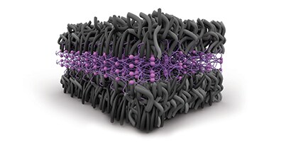 How Does Adhesion Work
