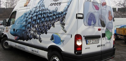 Veihcle Graphics on Car
